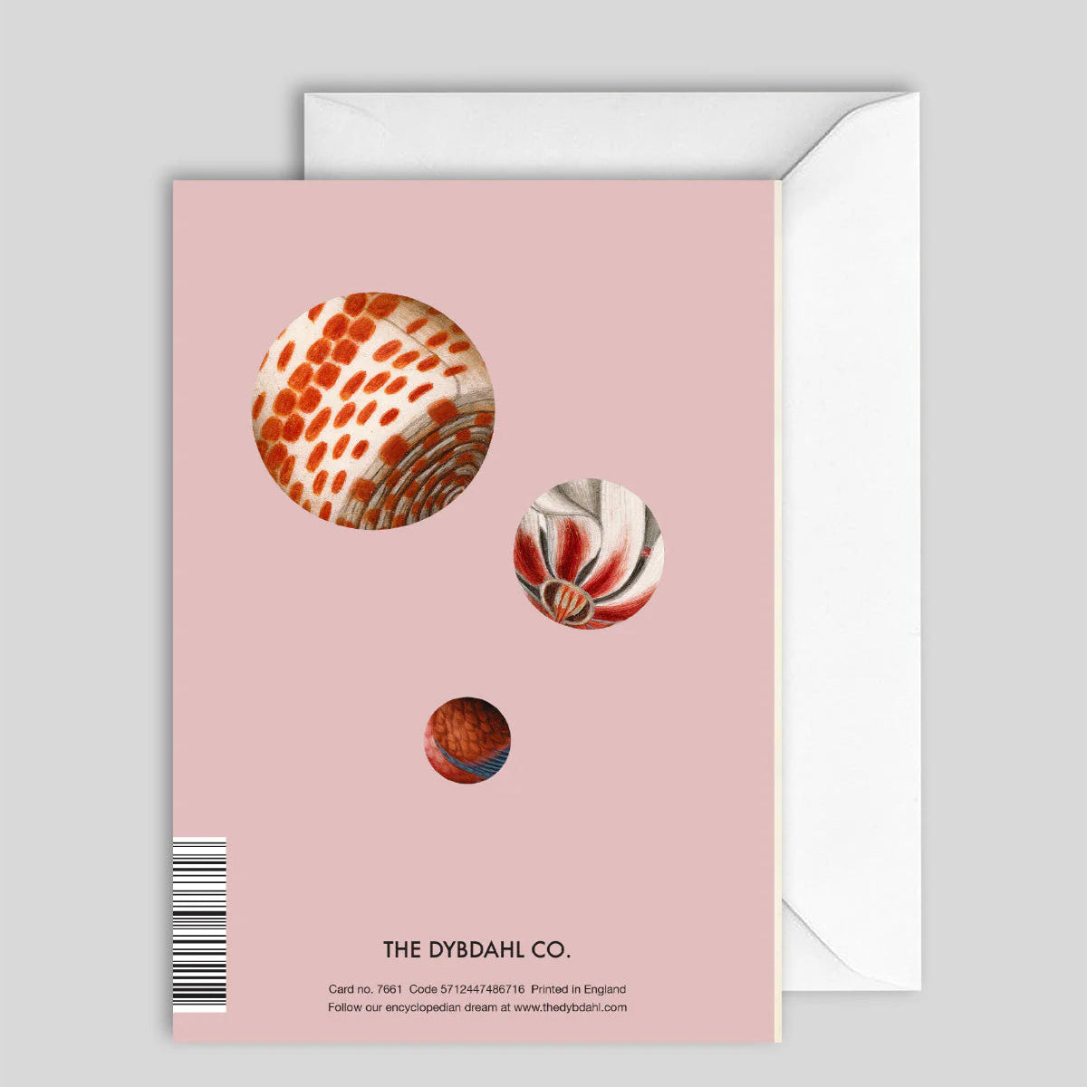 Greeting Card Nightingale