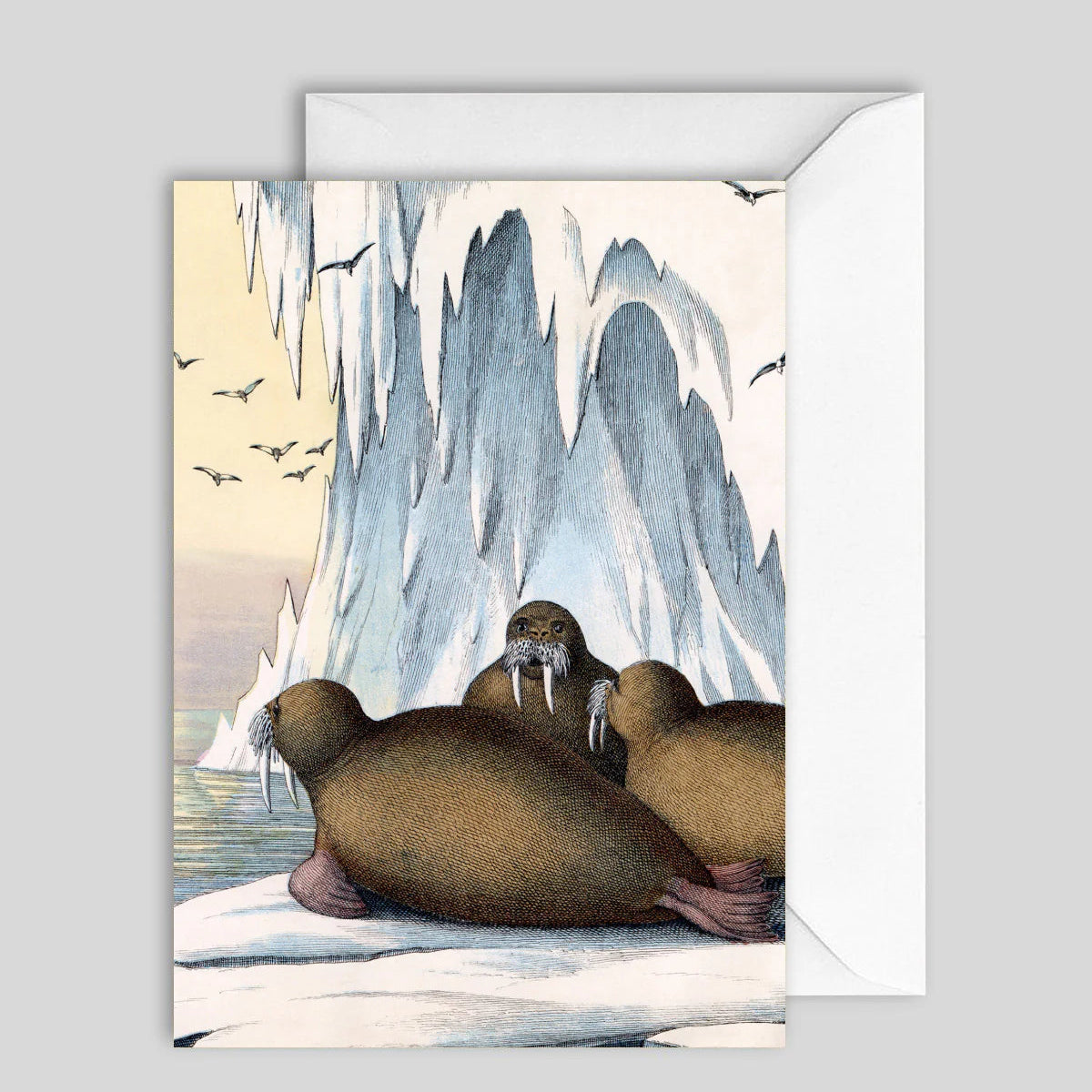 Greeting Card North Pole