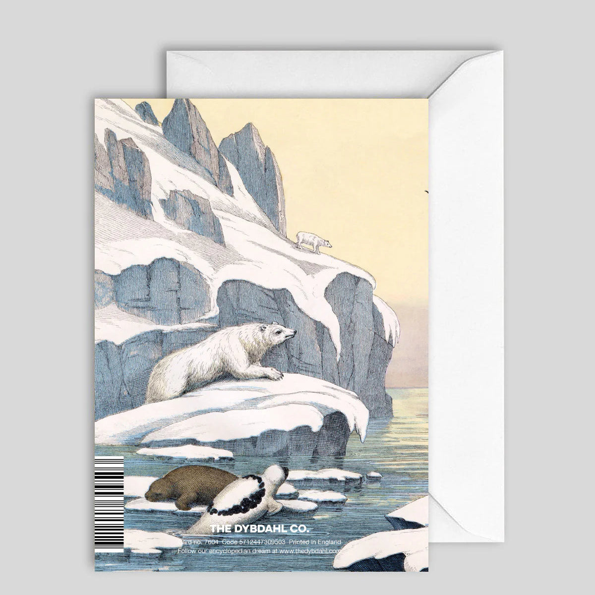 Greeting Card North Pole