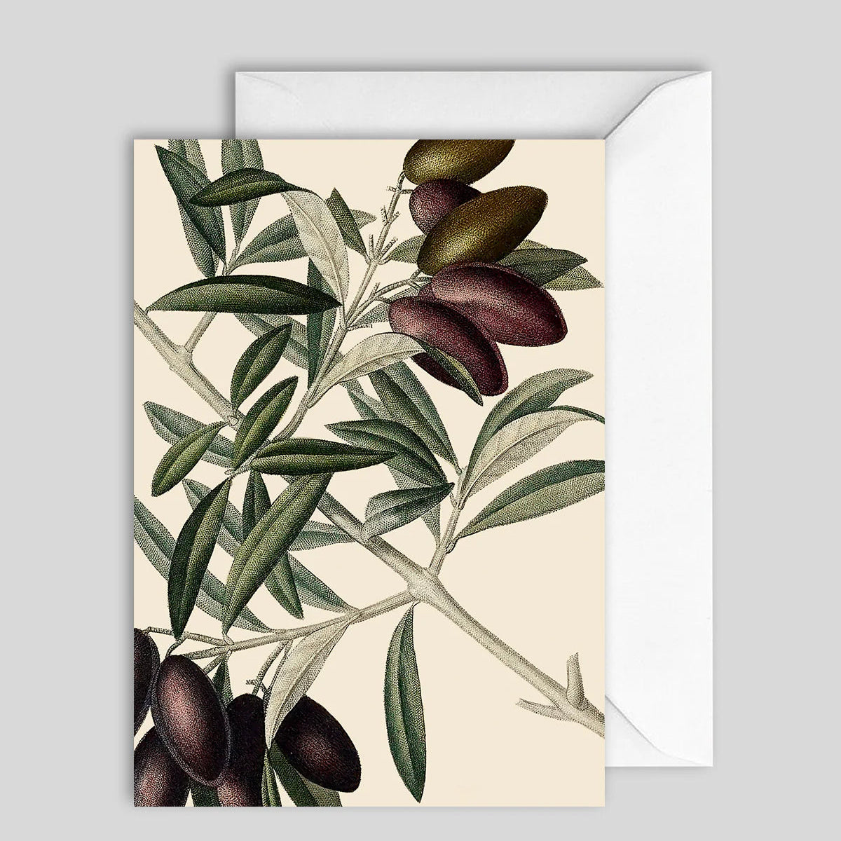 Greeting Card Olives