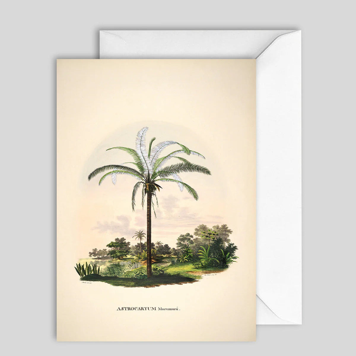 Greeting Card Palm