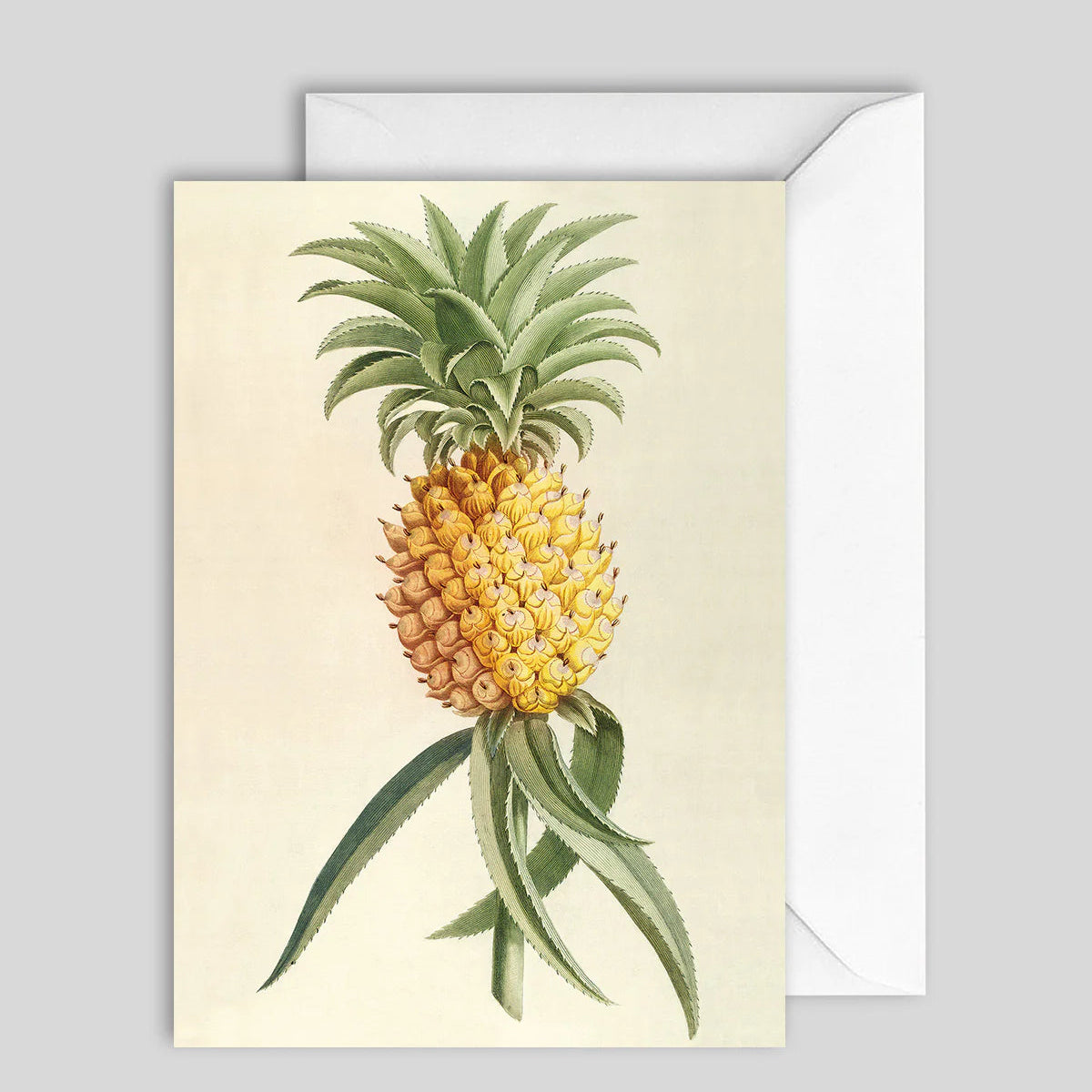 Greeting Card Pineapple