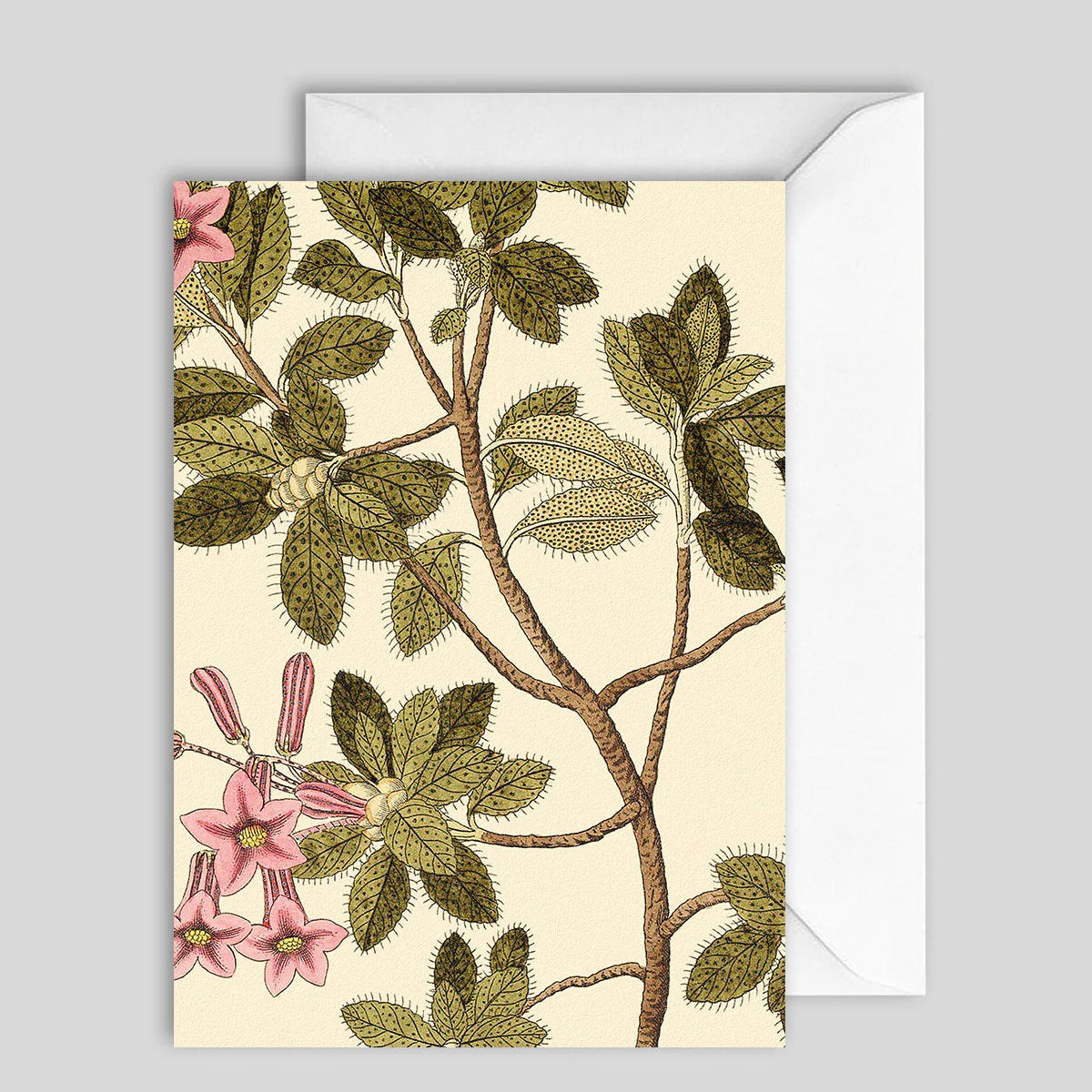 Greeting Card Plant Detail