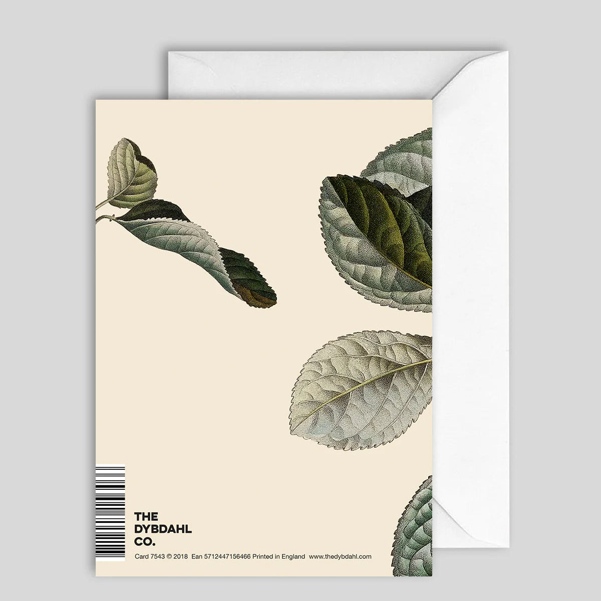 Greeting Card Plum