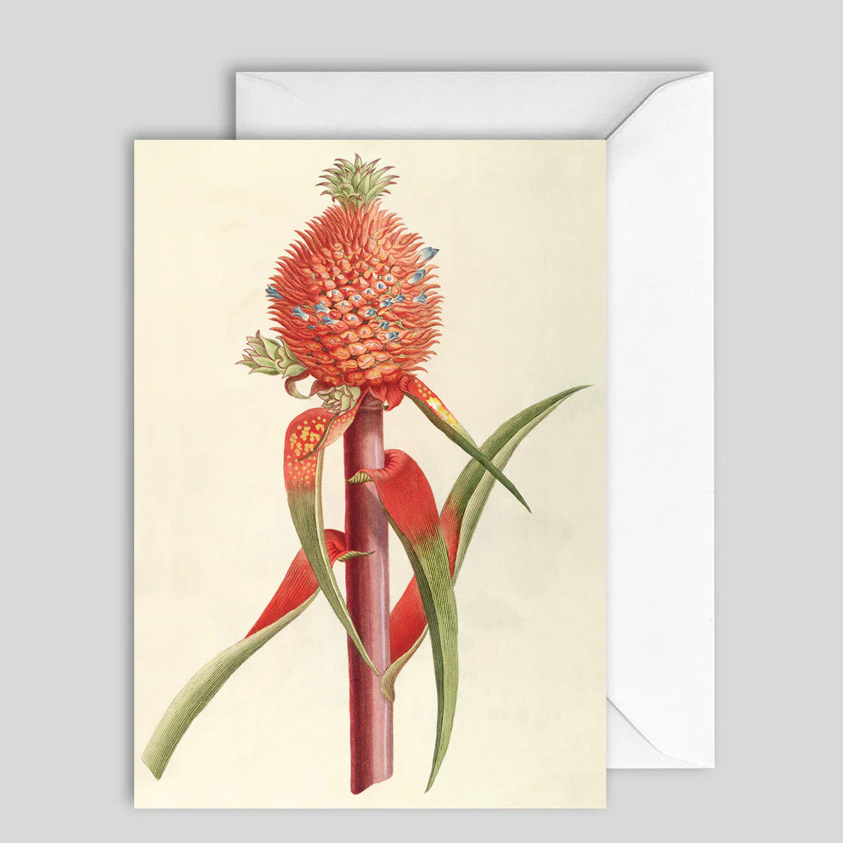 Greeting Card Red Pineapple