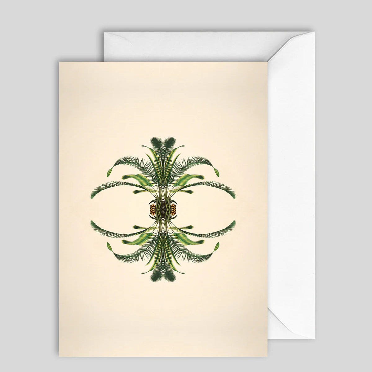 Greeting Card Reflection 2