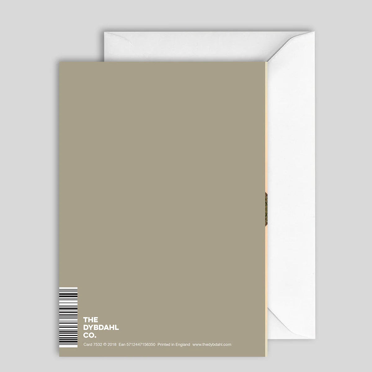 Greeting Card Reflection