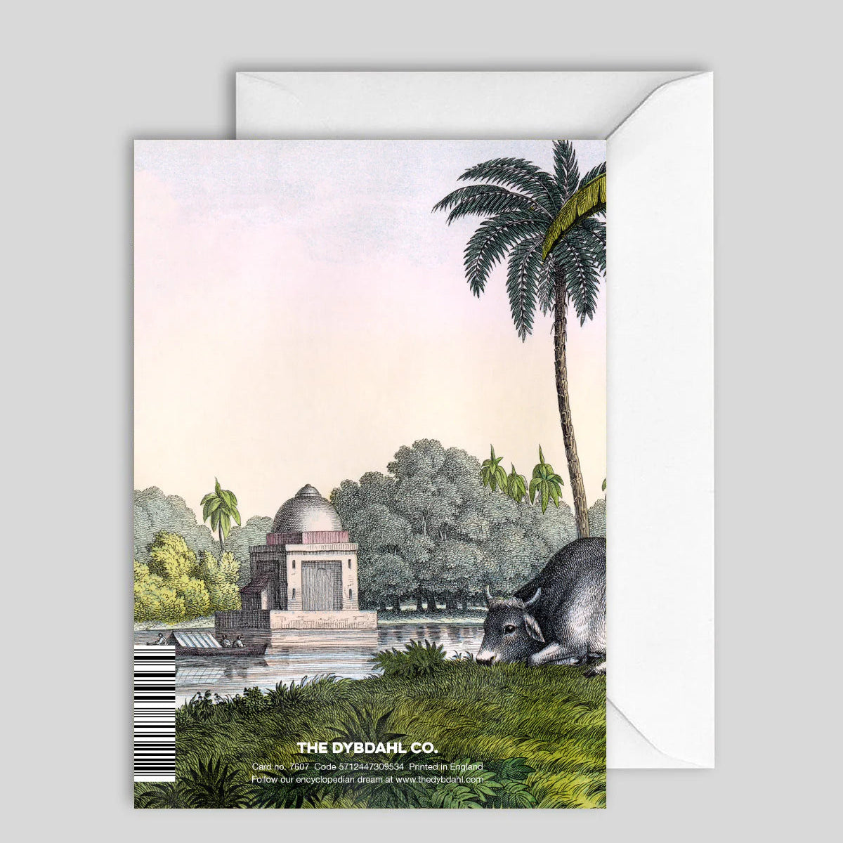 Greeting Card Water Baffolo