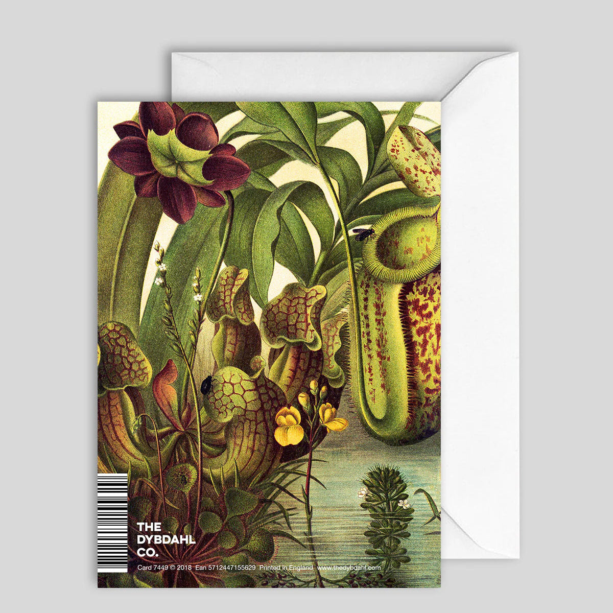 Greeting Card Water Plants