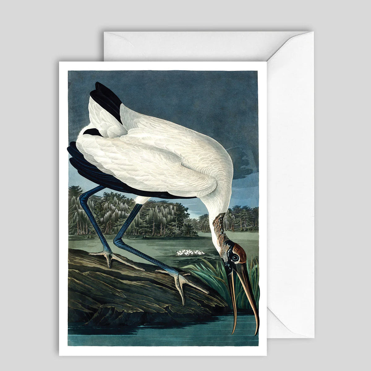 Greeting Card Wood Ibis