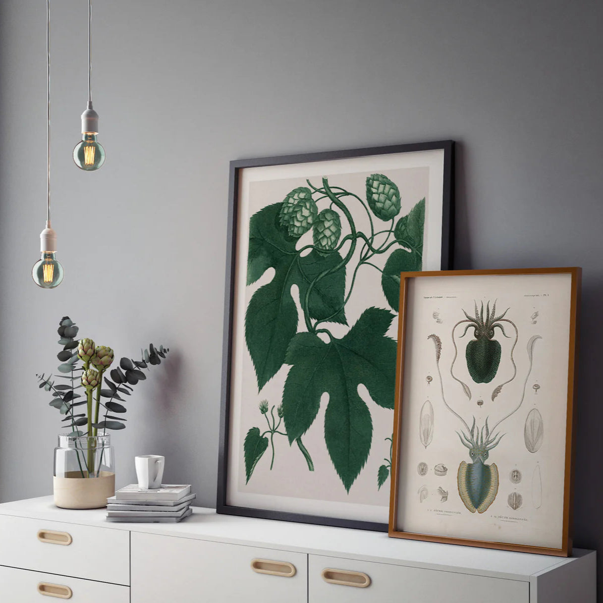 HUMULUS LUPULUS | 30x40cm