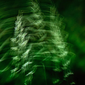 Herbal Sauna Scent