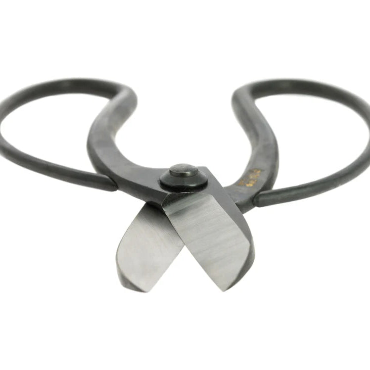 Ikebana Scissors | Hidefusa Koryu