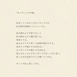 Japanese Fabric Gift Wrap/Scarf | Furoshiki | Pangolin Tree