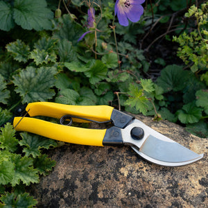 Japanese Mainichi Secateurs