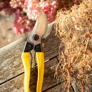 Gardening shears with yellow handles on a wooden surface with dried plants and pink flowers in the background.