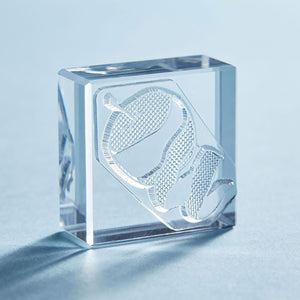 KORI JIRUSHI Stamp large apple