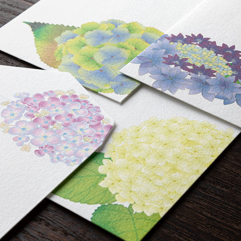 Kami Series Envelopes | Hydrangea