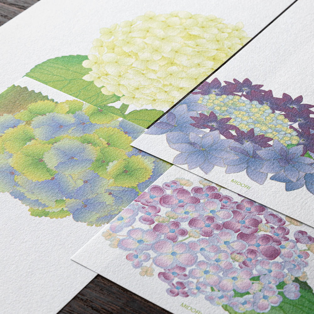 Kami Series Message Letter Pad | Hydrangea
