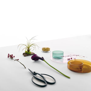 Decorative items including a plant, scissors, and small containers on a white surface