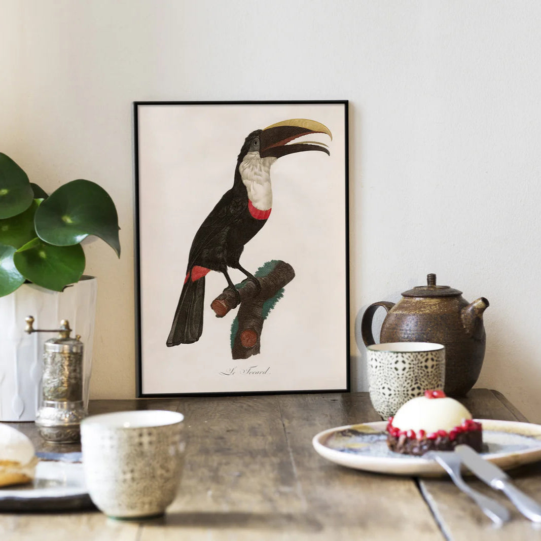 LE TOUCAN TOCARD | 30x40cm