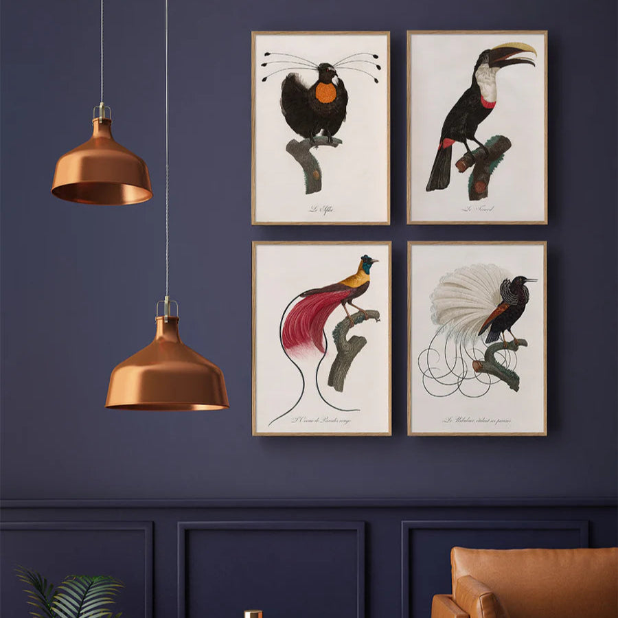 L'OISEAU DE PARADIS ROUGE | 30x40cm