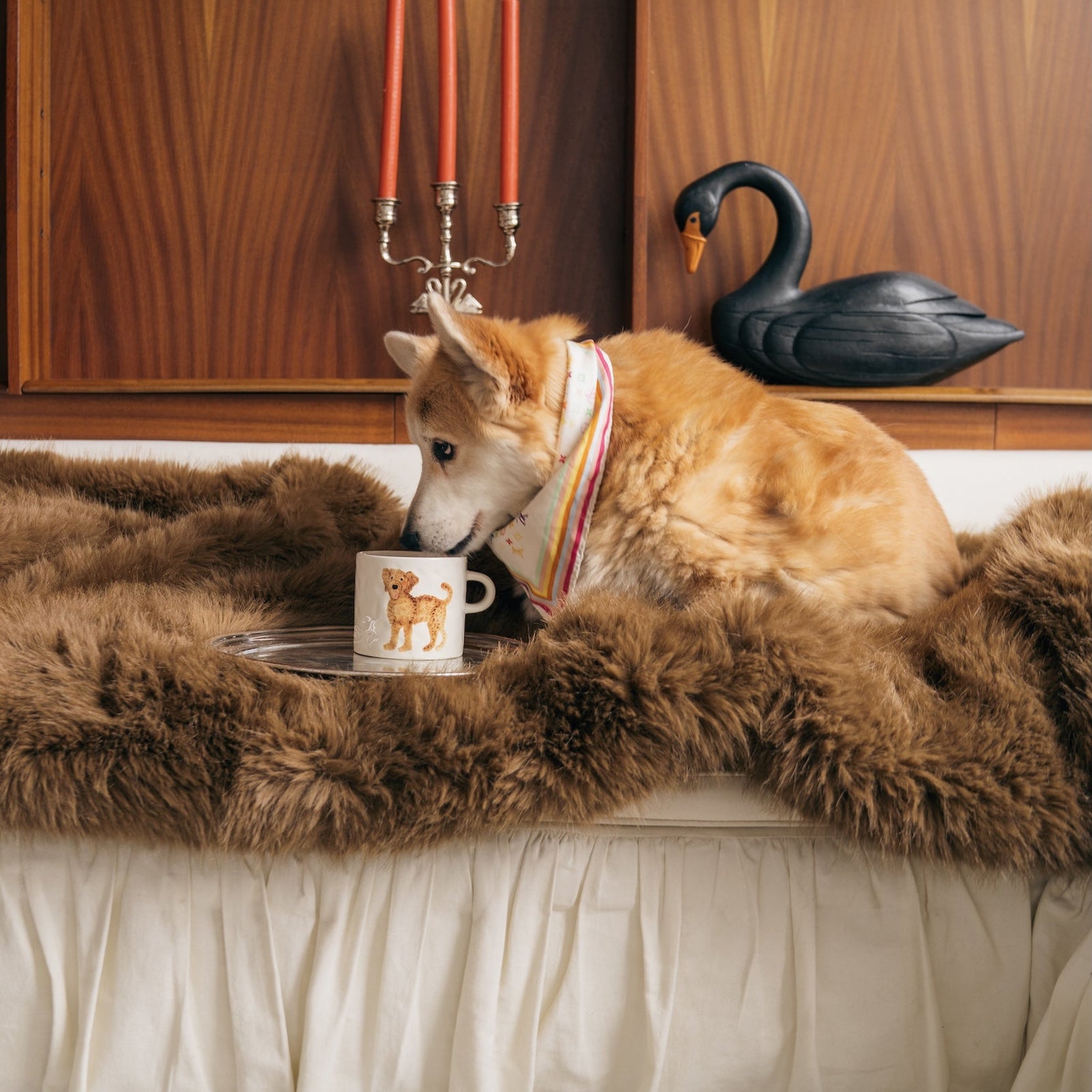 White mug with a brown dog illustration on a white background