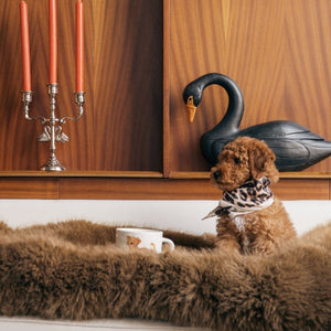 Dog sitting on a rug with a swan sculpture and candle holder in the background