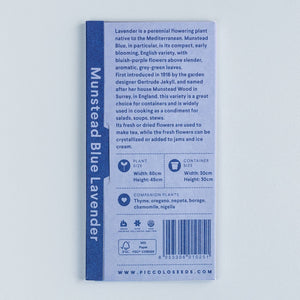 Lavender Munstead Blue