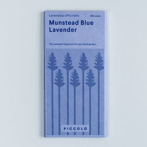 Lavender Munstead Blue