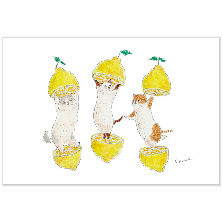 Lemon Cats Postcard