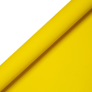 Lemon Yellow | Kelly Hyatt