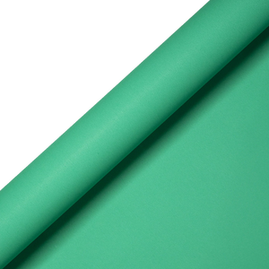 Lone Teal | Kelly Hyatt