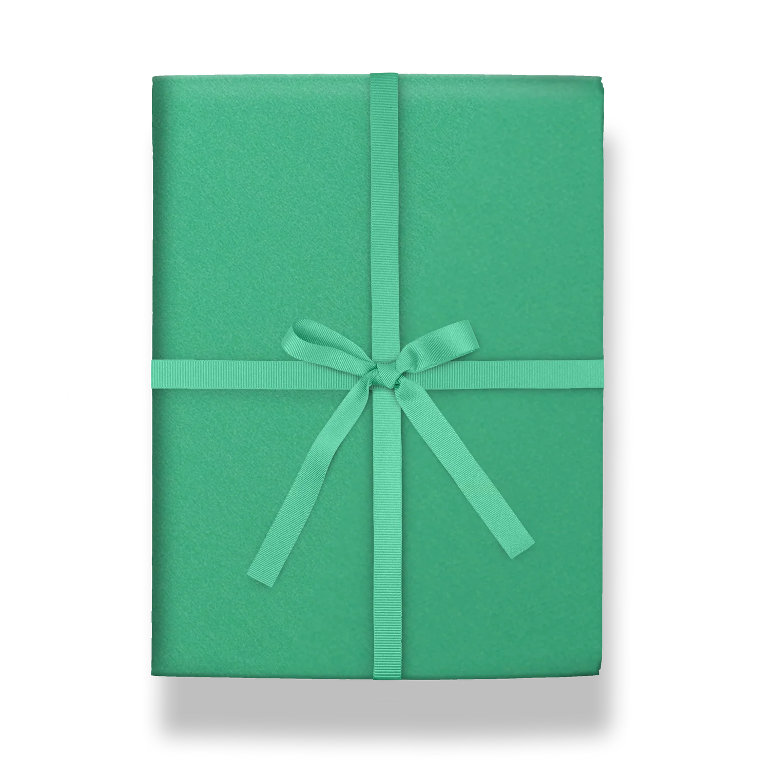 Lone Teal | Kelly Hyatt