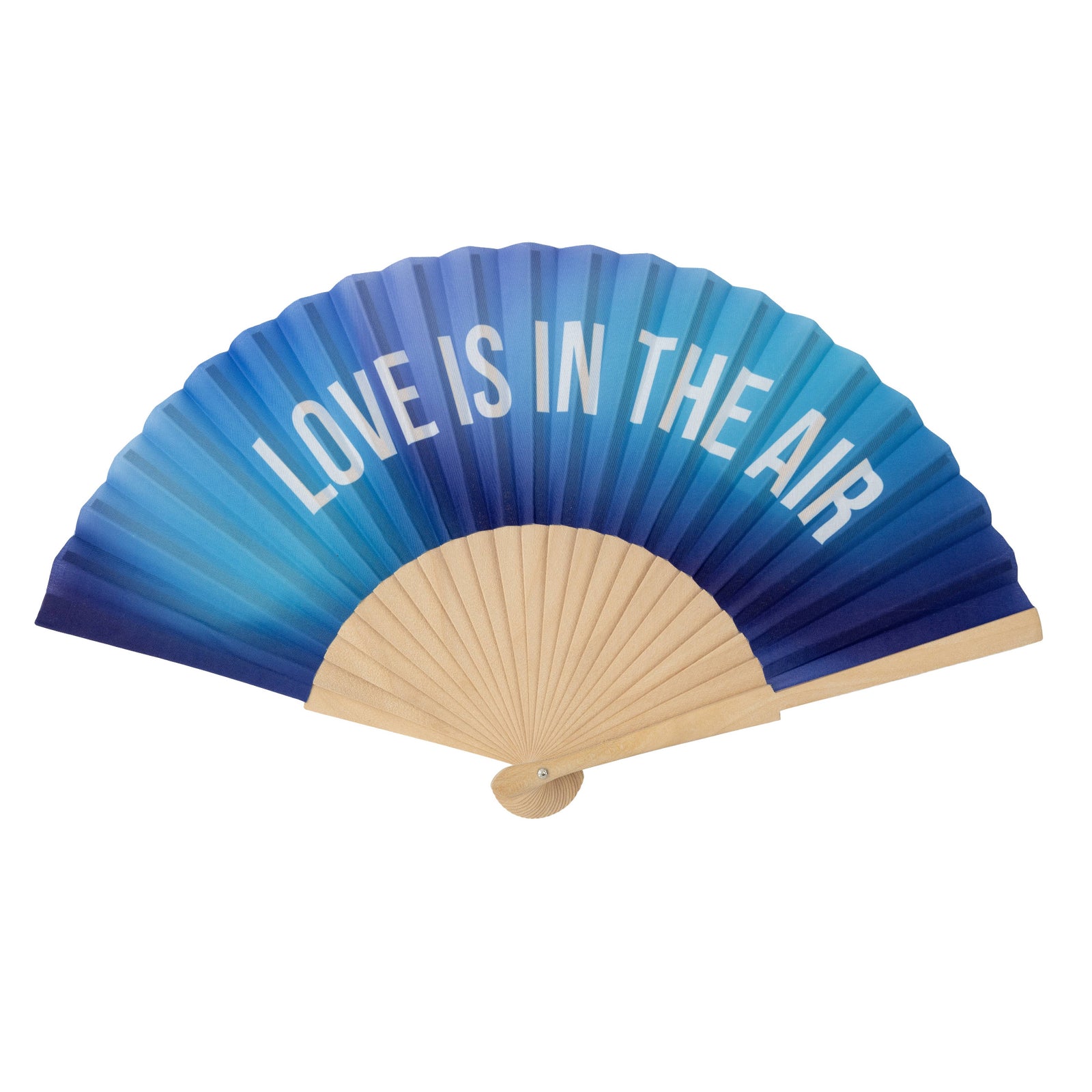 Love is in the Air | Hand Fan