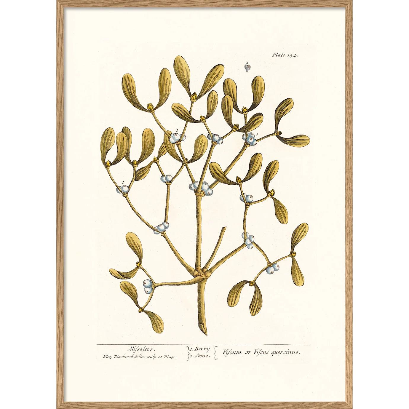 MISTLETOE | 30x40cm | OAK FRAME