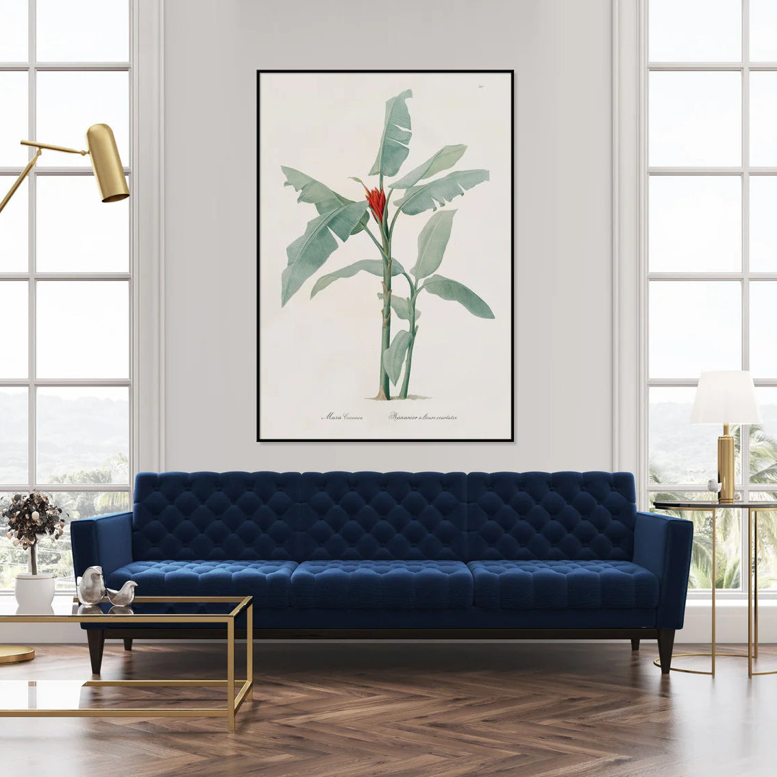 MUSA COCCINEA | 70x100cm