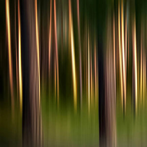 Metsä Sauna Scent Oil