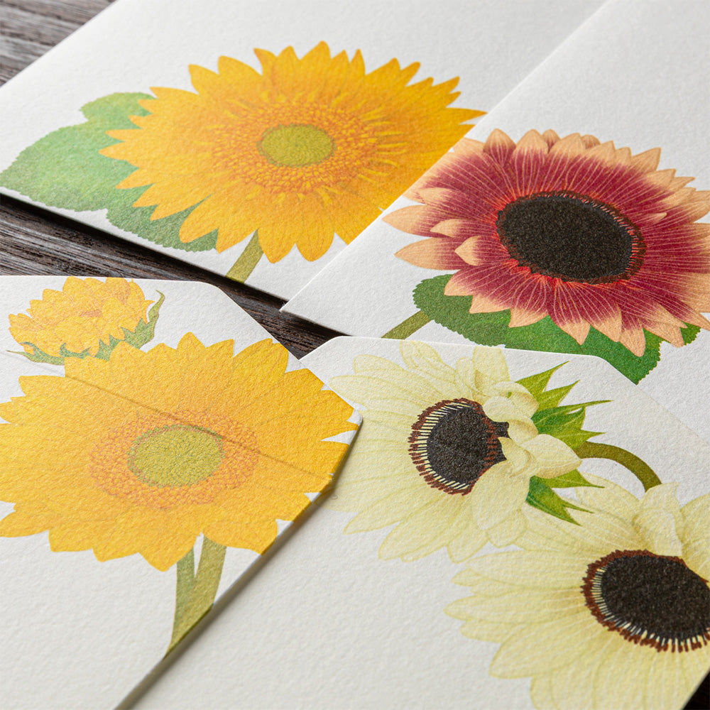 Mid Summer 2026 Limited | Kami Series Envelopes | Sunflower