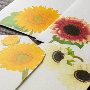 Mid Summer 2026 Limited | Kami Series Envelopes | Sunflower