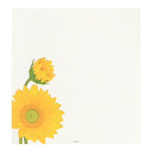 Mid Summer 2026 Limited | Kami Series Letter Pad | Sunflower