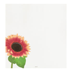 Mid Summer 2026 Limited | Kami Series Letter Pad | Sunflower