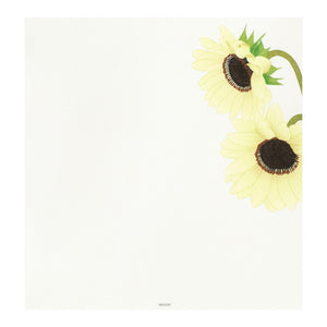 Mid Summer 2026 Limited | Kami Series Letter Pad | Sunflower