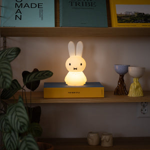 Decorative night light shaped like a rabbit on a shelf with books and small sculptures.
