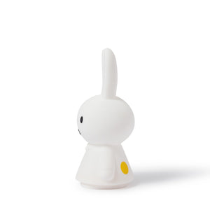 Miffy Shines