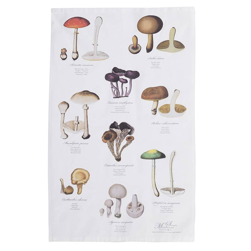 Mushroom Tea Towel | Organic Cotton