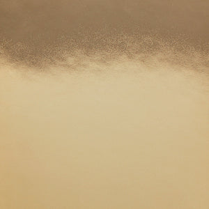 NOTEBOOK SHINY STARLET S | GOLD