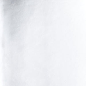 NOTEBOOK SHINY STARLET S | SILVER