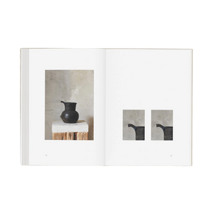 PERCEPTION FORM BOOK SPECIAL EDITION