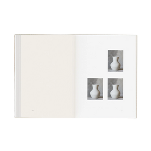 PERCEPTION FORM BOOK SPECIAL EDITION